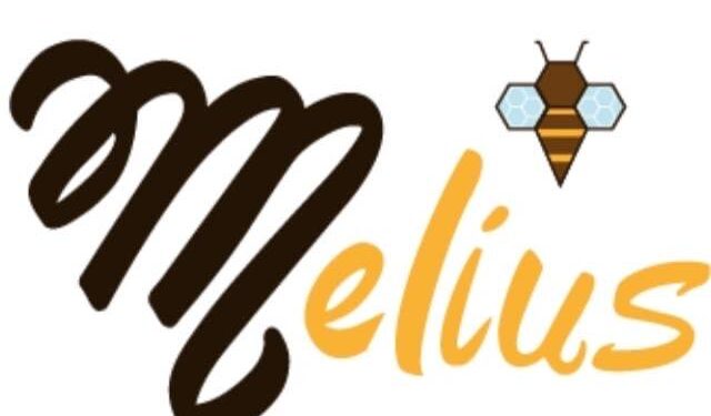 Miel de abeja artesanal de calidad en León