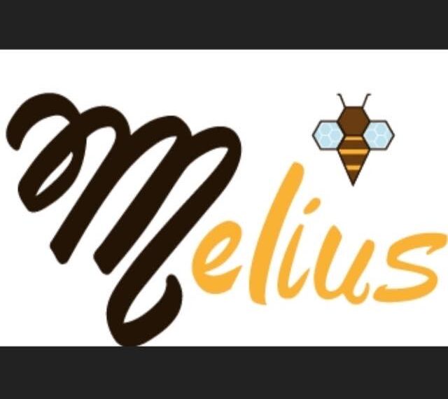 Miel de abeja artesanal de calidad en León