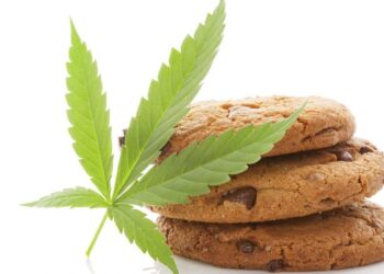 Hash CBD Valencina de la Concepción