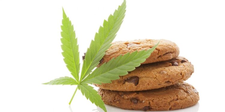 Hash CBD Valencina de la Concepción