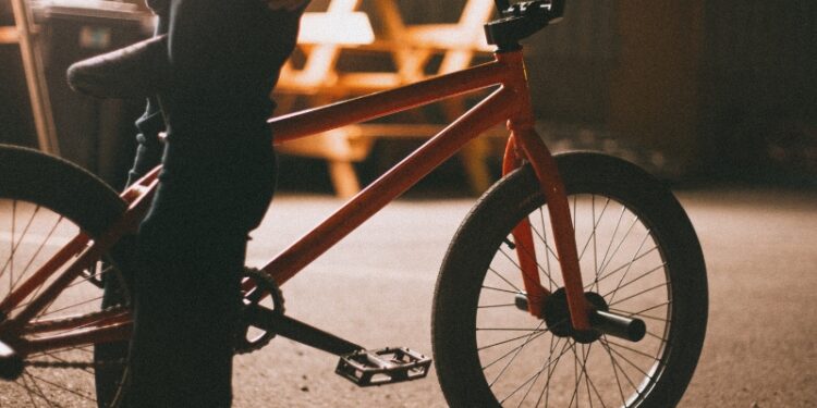 Remolque de bici para niños online