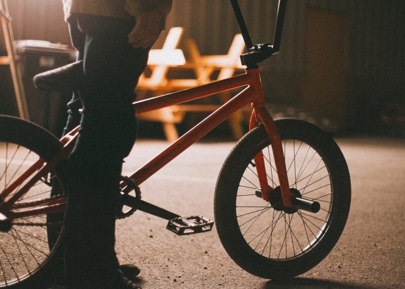 Remolque de bici para niños online