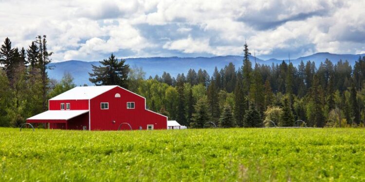 Alquilar una casa en Guardiola De Font-Rubi